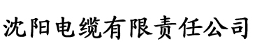 日韩理论电影在线观看电缆厂logo